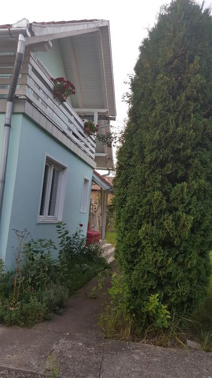 Casa Cristina Villa Sovata Eksteriør billede